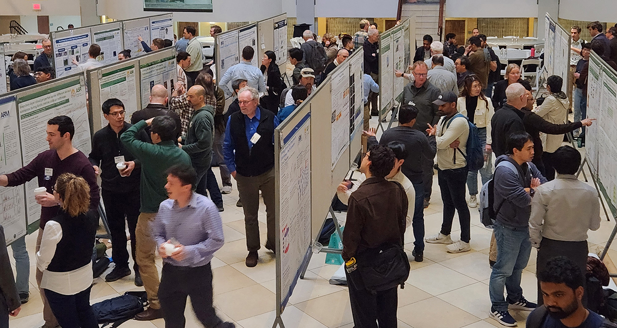 People wander through rows of posters or stop to discuss the material with authors.